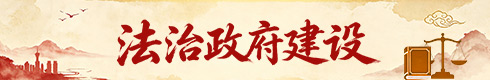 法治政府建设